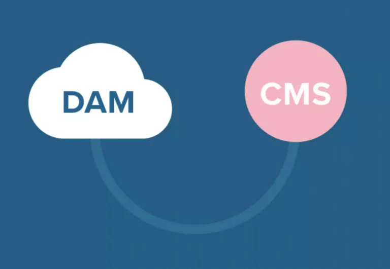 Какие различия между DAM и CMS